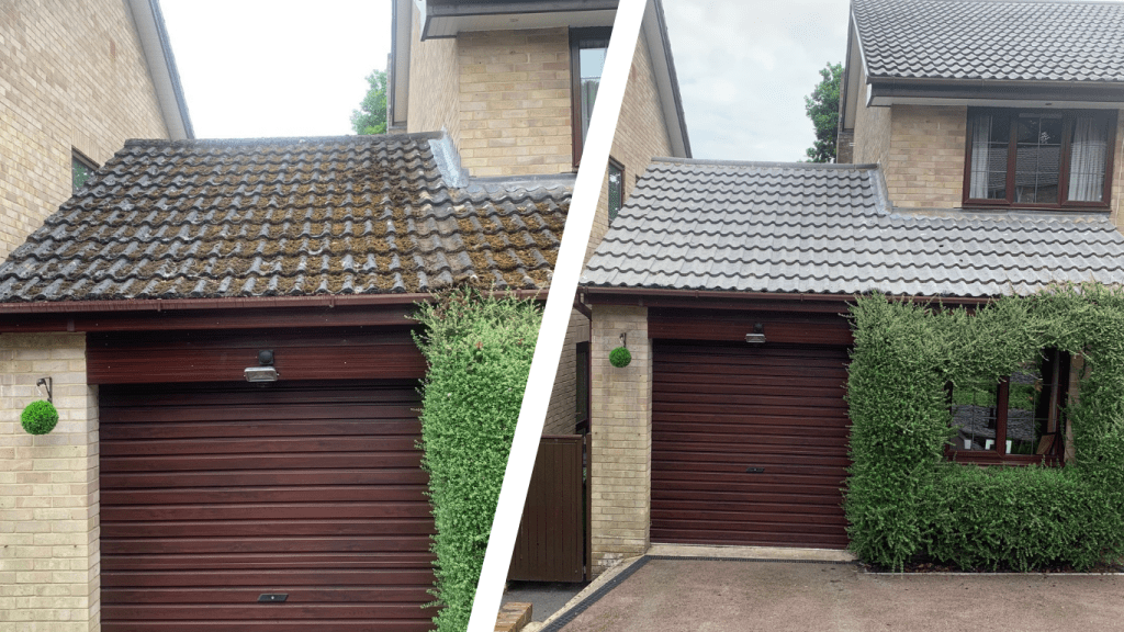 Untitled design (19)